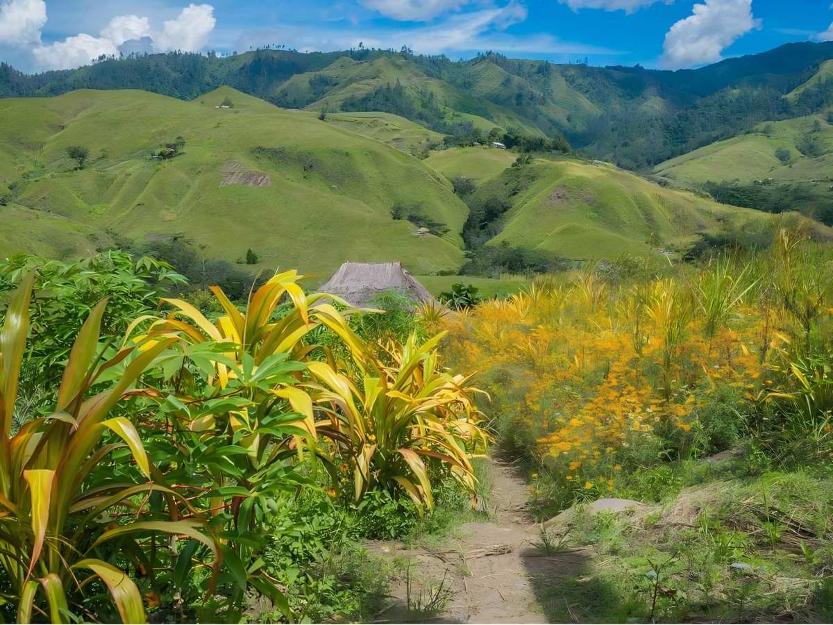 Goroka