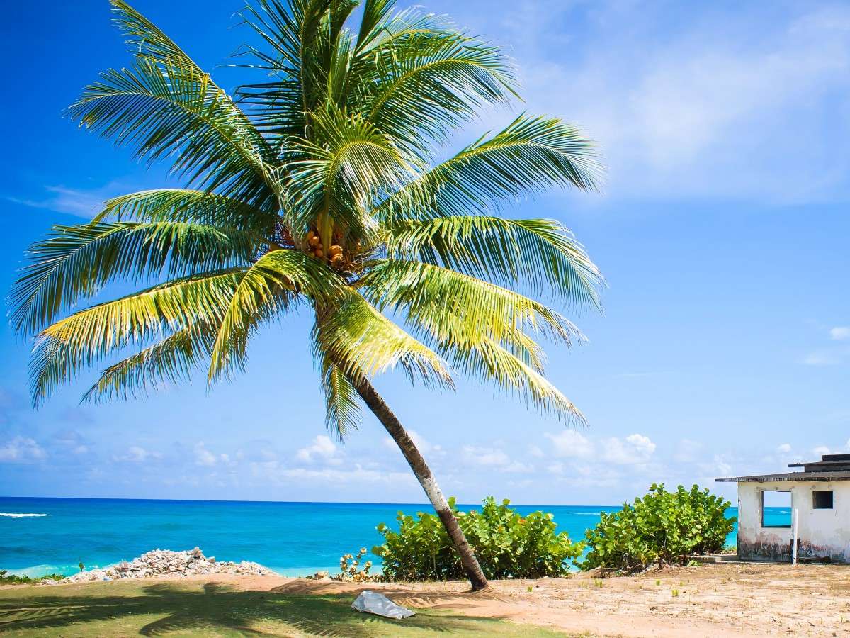 Long Bay Beach