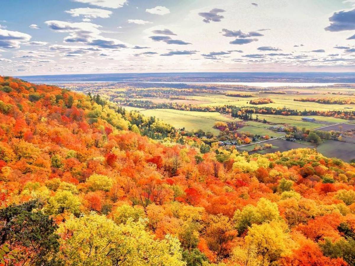 Gatineau Park