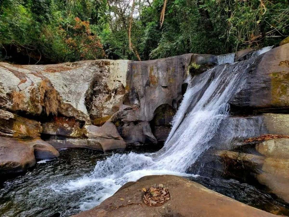 Udzungwa Mountains National Park