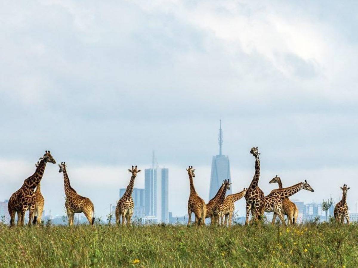 Nairobi National Park