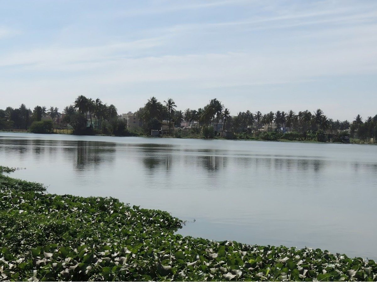 Varthur Lake