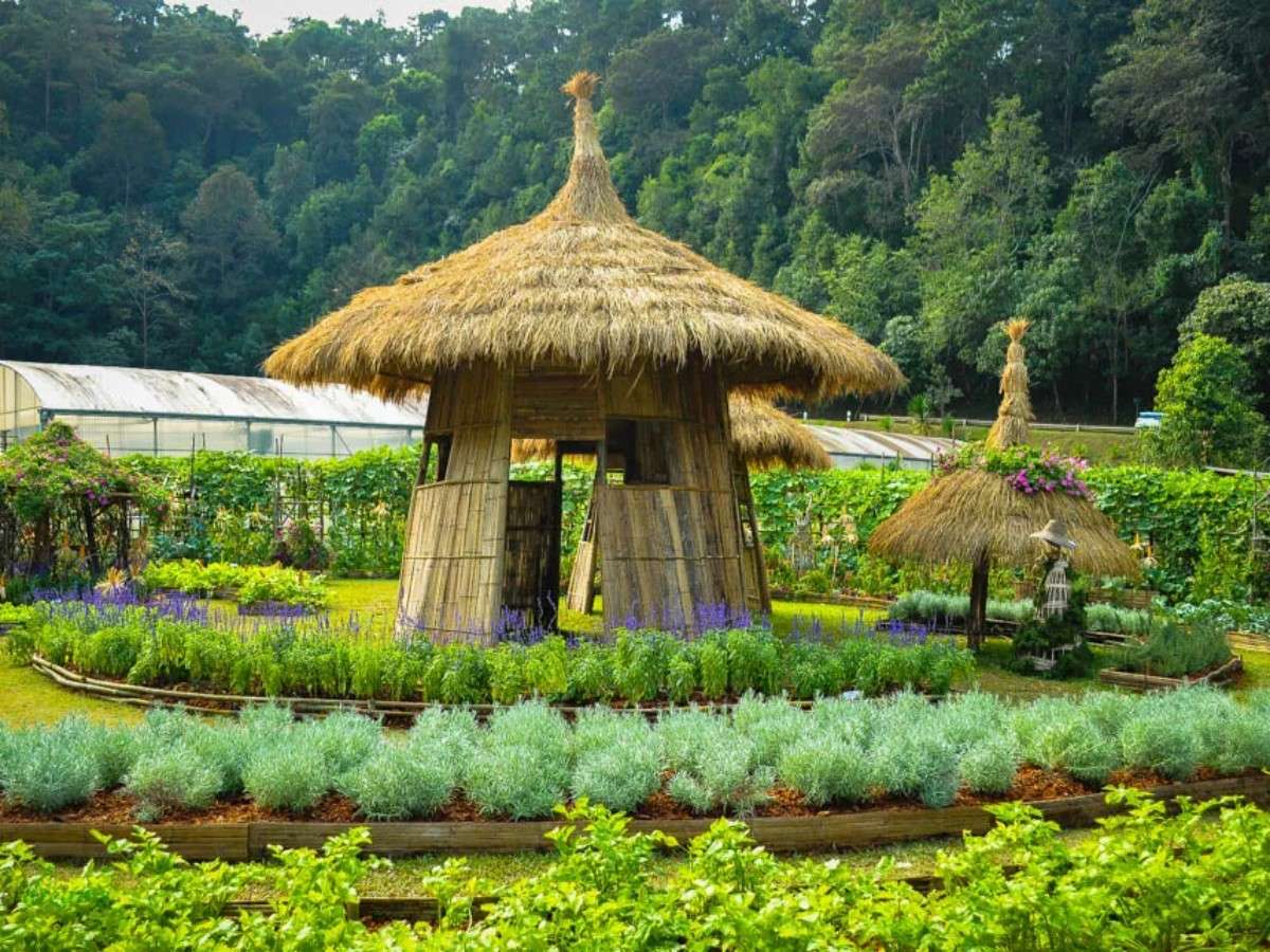 Queen Sirikit Botanic Garden