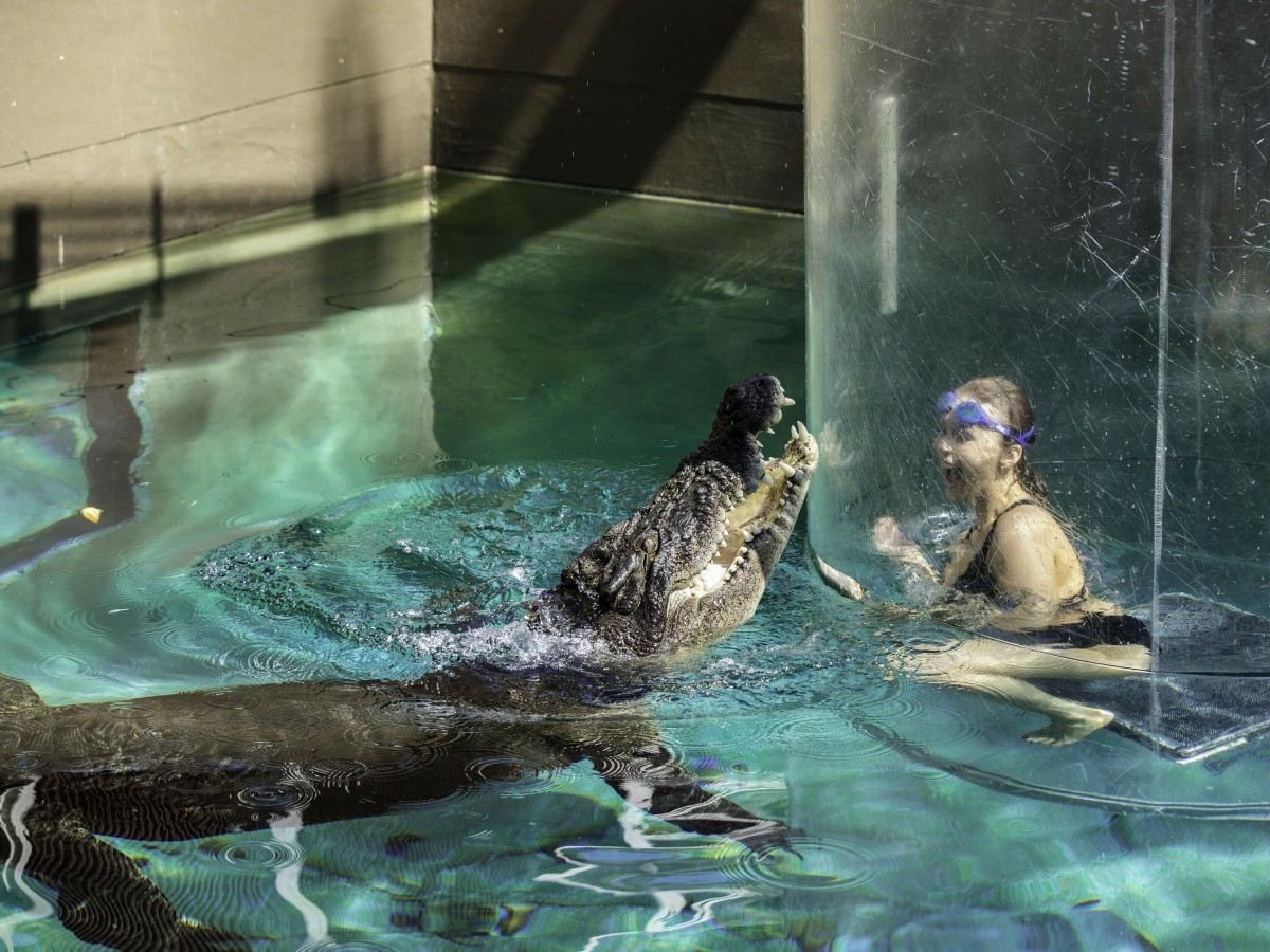 Crocosaurus Cove
