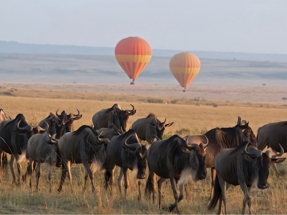 Serengeti