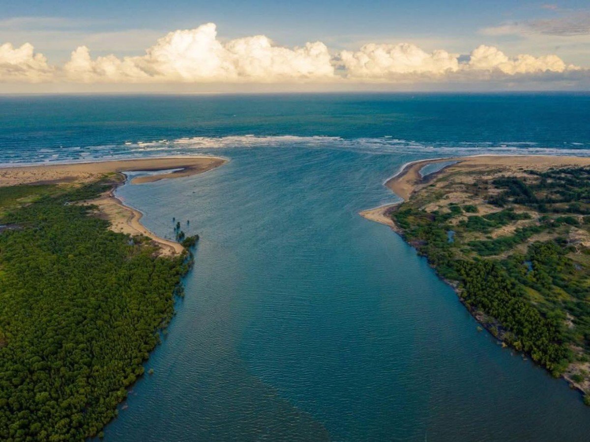 Sabaki River Estuary