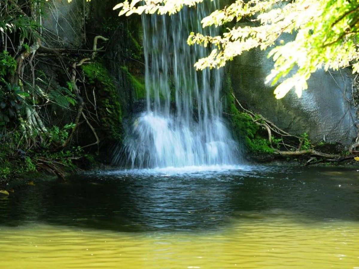 Garden of the Groves