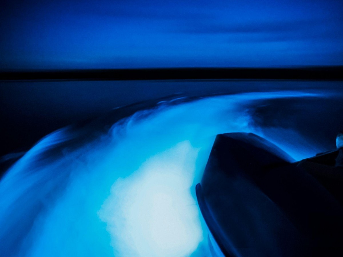 Luminous Lagoon