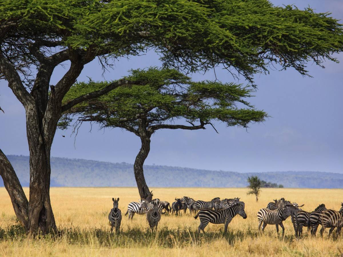 Serengeti National Park