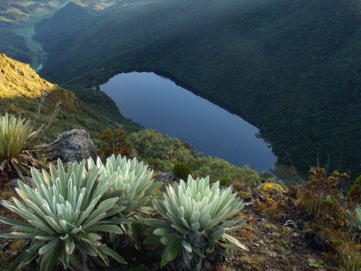 Laguna Negra