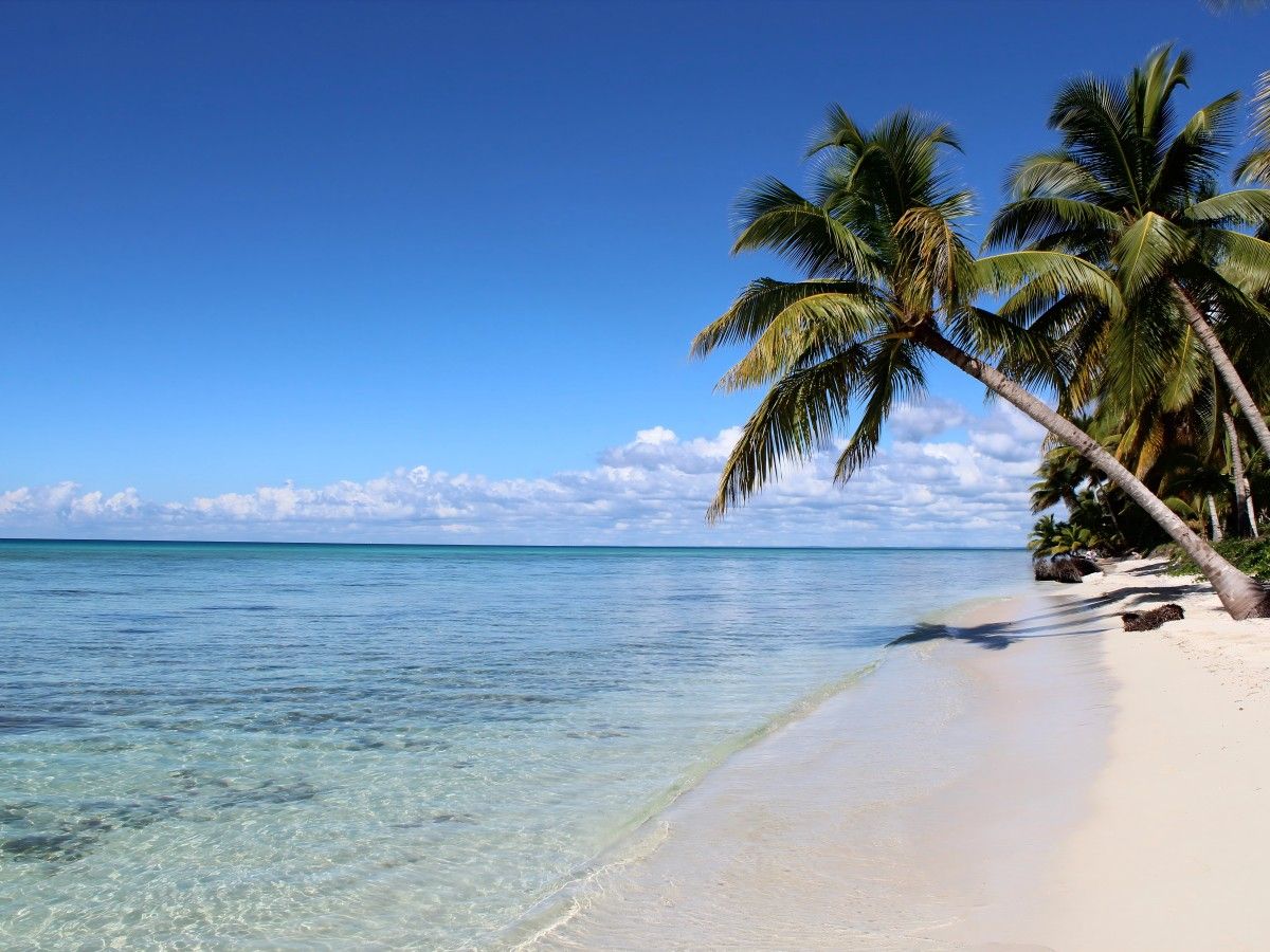 Isla Saona
