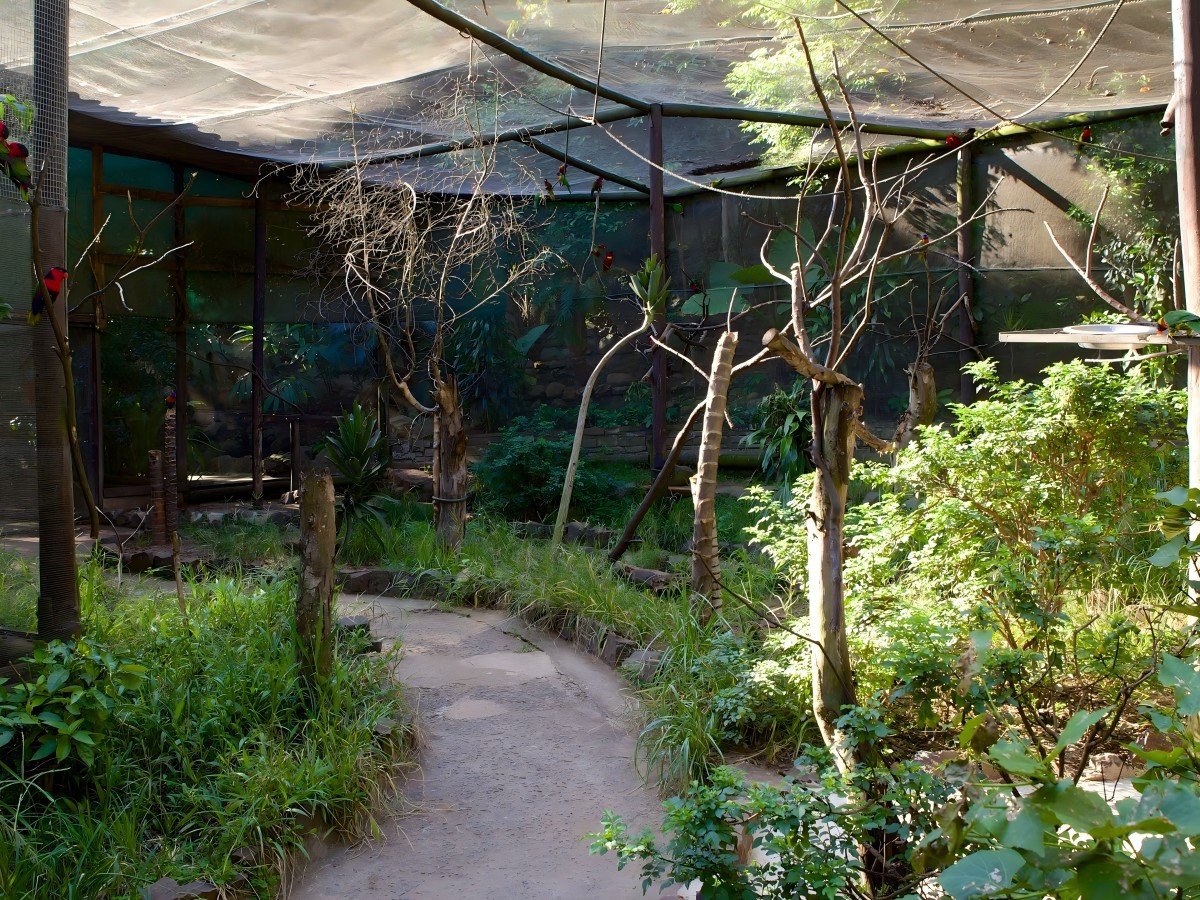 Umgeni River Bird Park