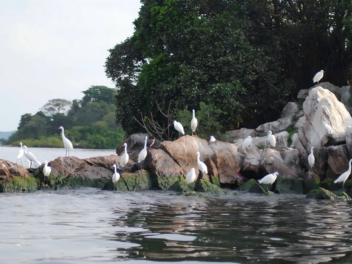 Rubondo Island National Park