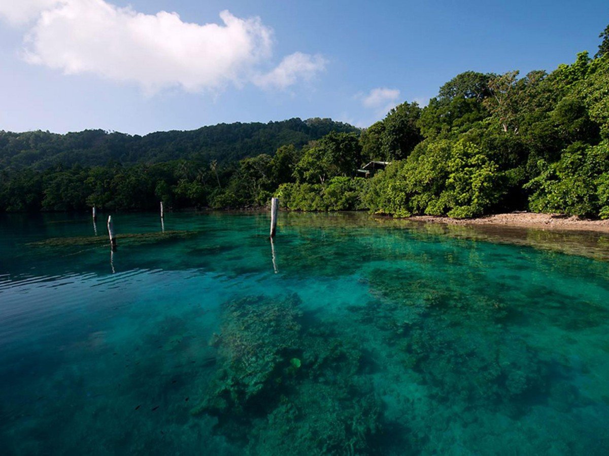 Tawali Dive Resort