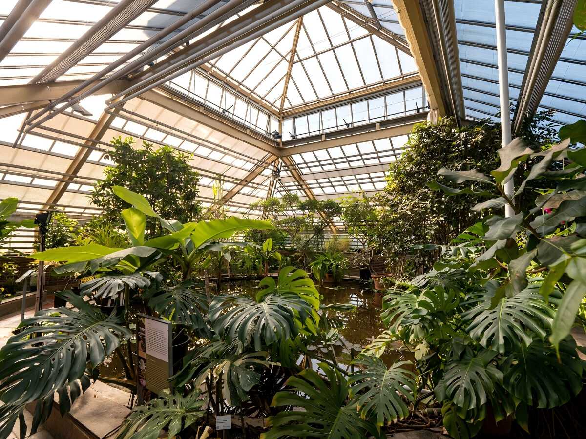 Hortus Botanicus