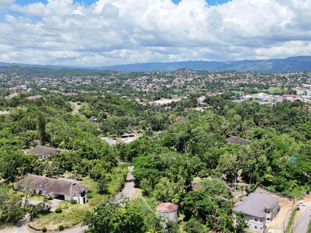 Mandeville