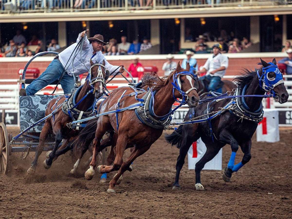 The Calgary Stampede