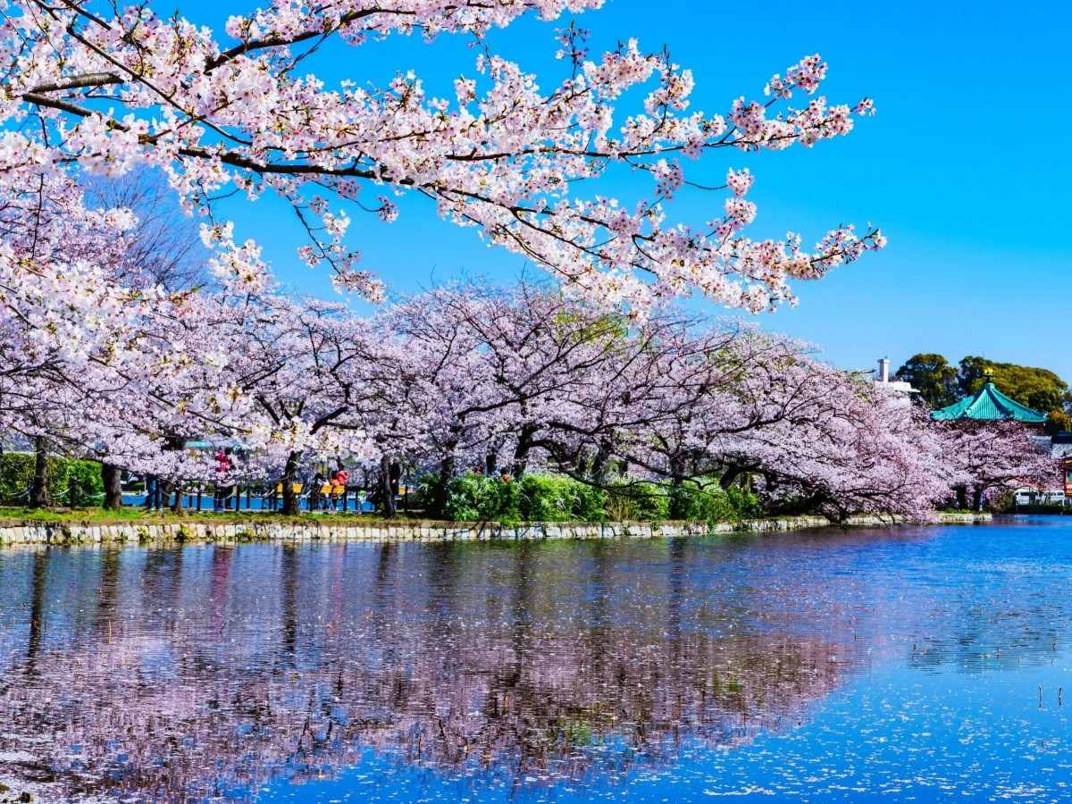 Ueno Park