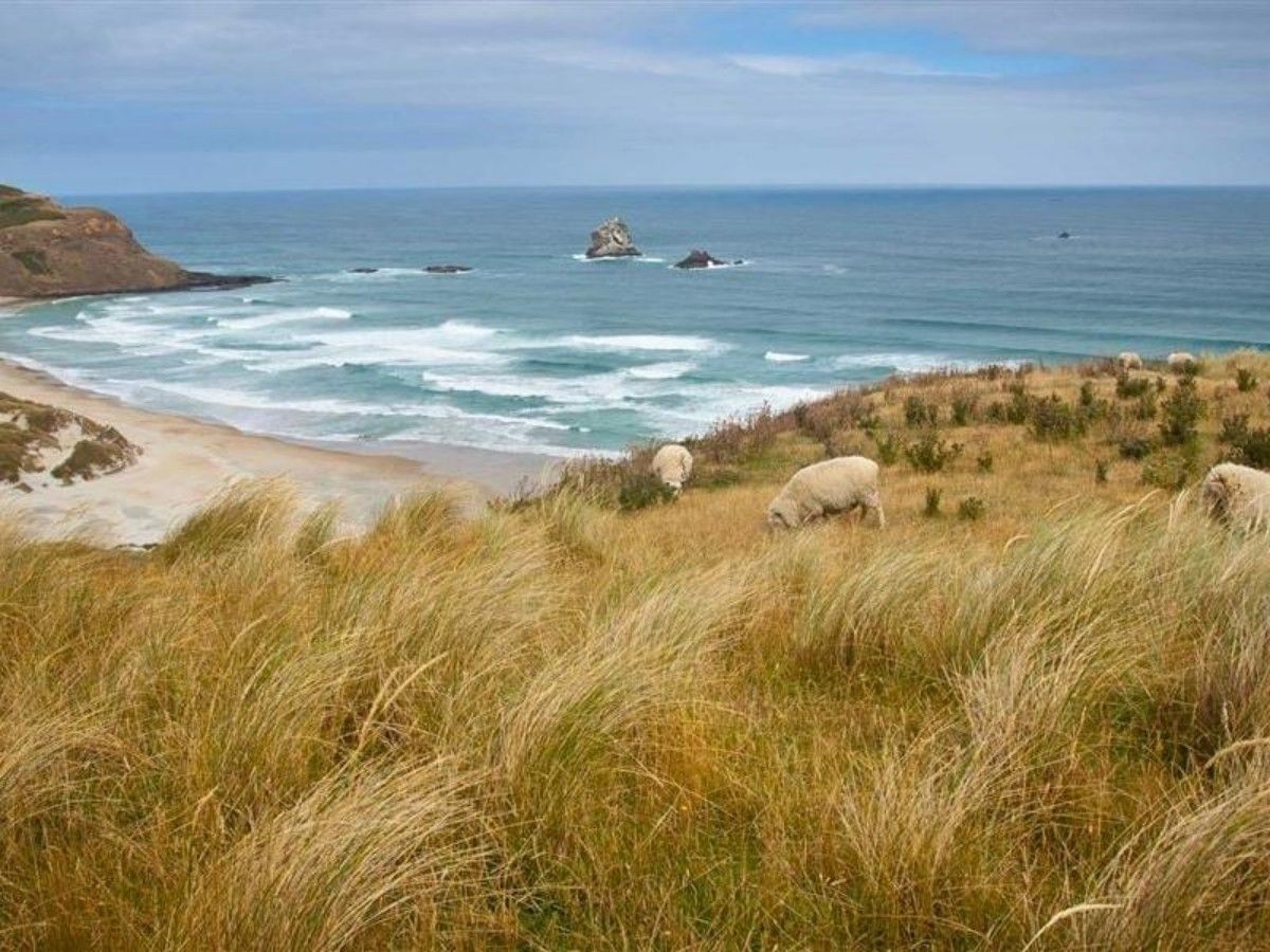 Otago Peninsula