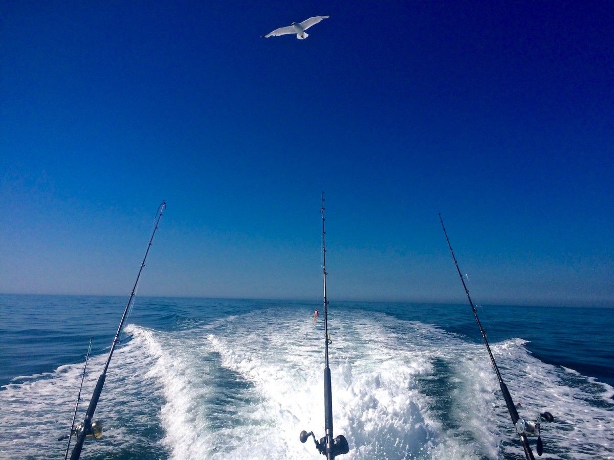 Fishing Tours