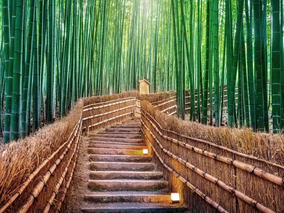 Arashiyama