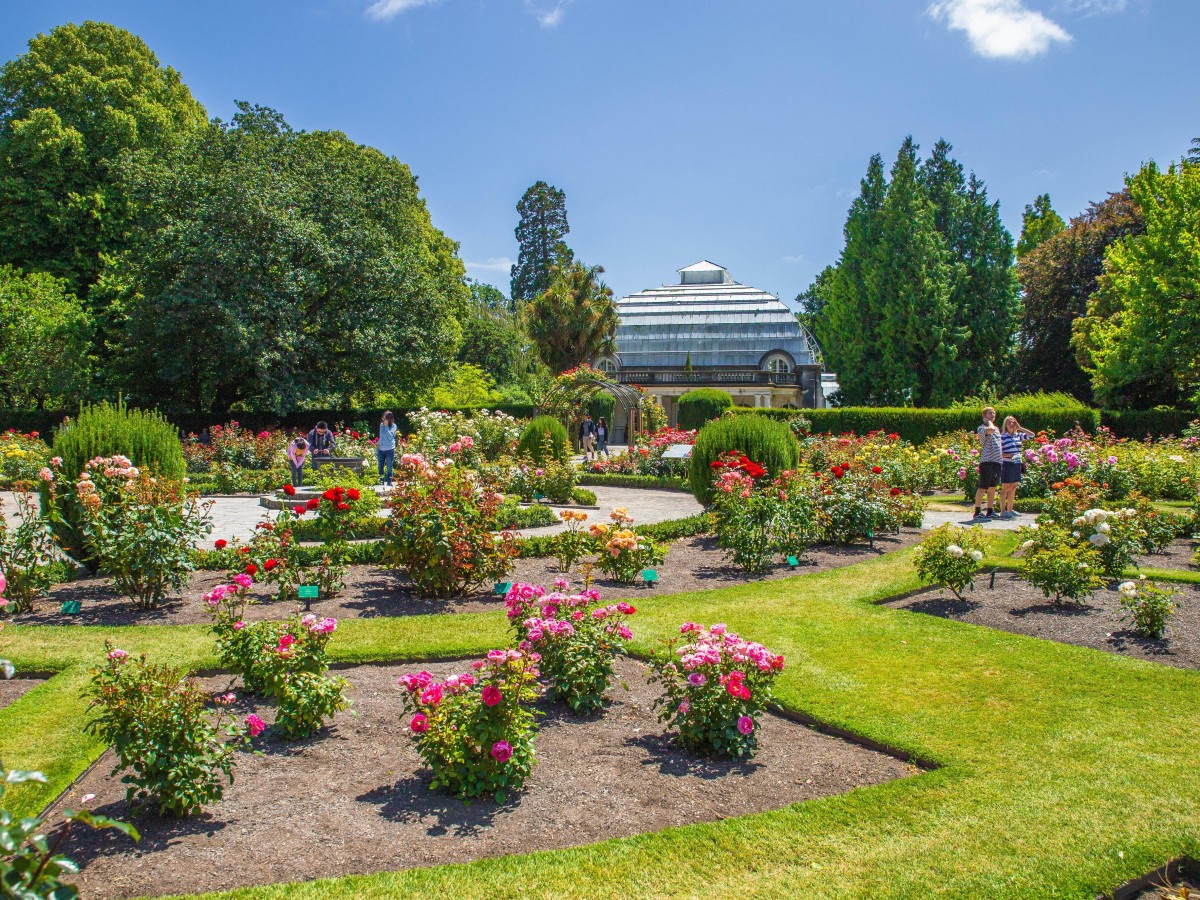 Hagley Park