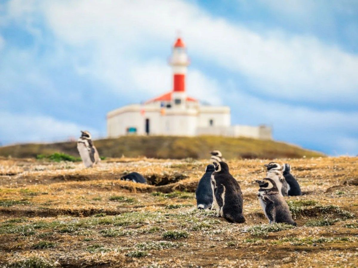 Magdalena Island