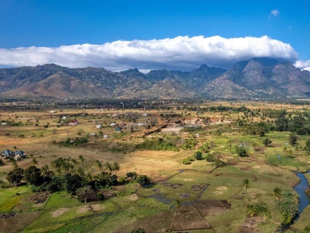 Tropical rainforest + cliff terraces! The most magical mountain hiking route in East Africa