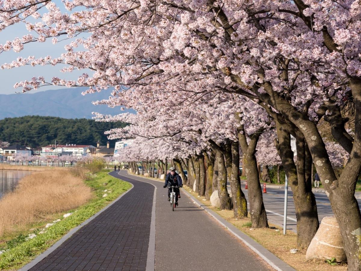 How long does it take to cycle around Gyeongpo Lake?