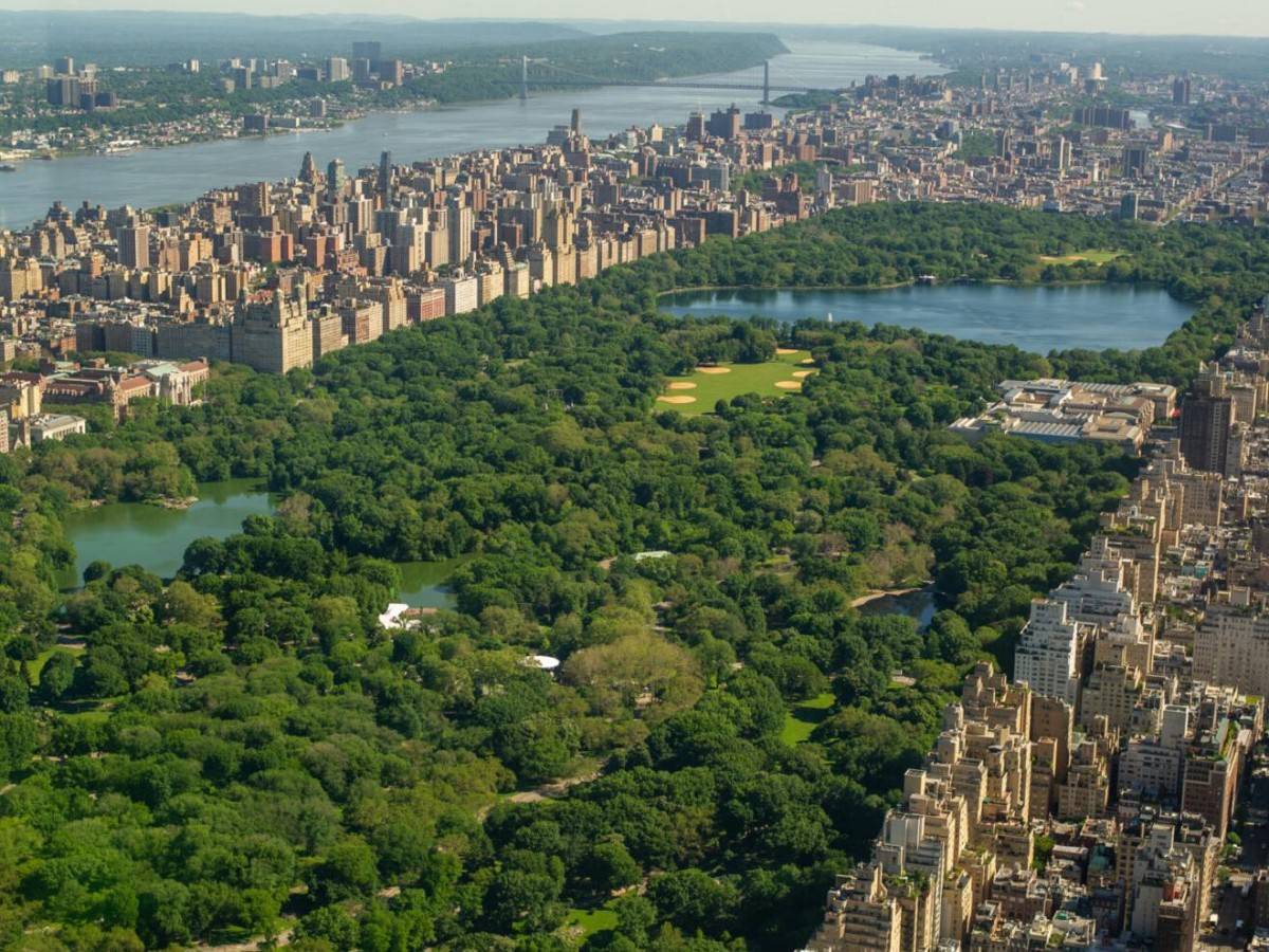 How many of the four seasonal wonders of Central Park have you experienced?