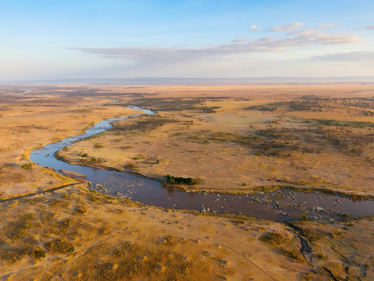 The Serengeti River and the Great Animal Migration: How to Plan the Ultimate Nature Trip
