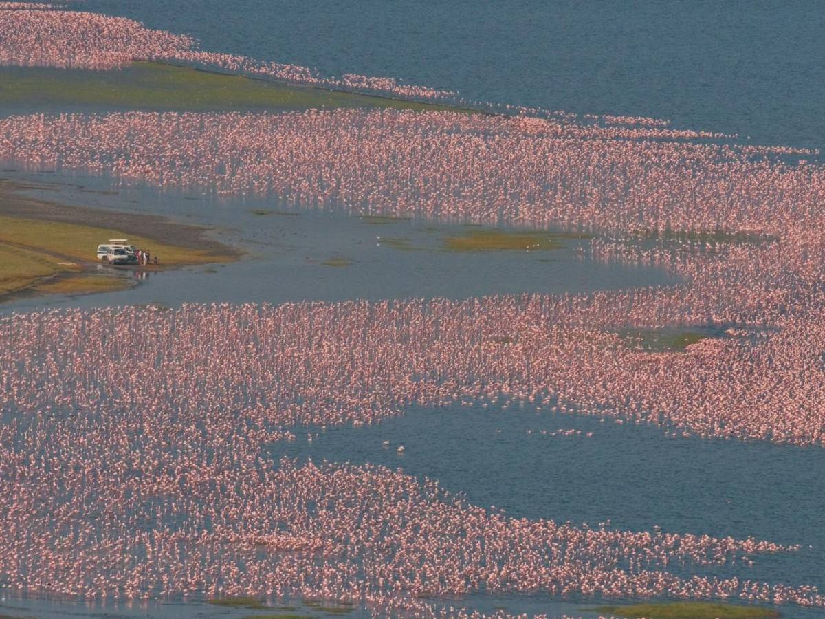 Lake Nakuru, a must-see natural wonder in this life!