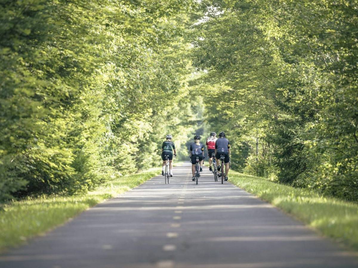Gatineau Park Cycling Guide: The Most Beautiful Cycling Routes and Rental Information