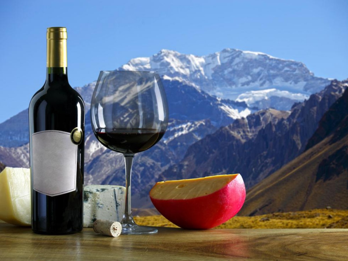 A must-visit for wine lovers!