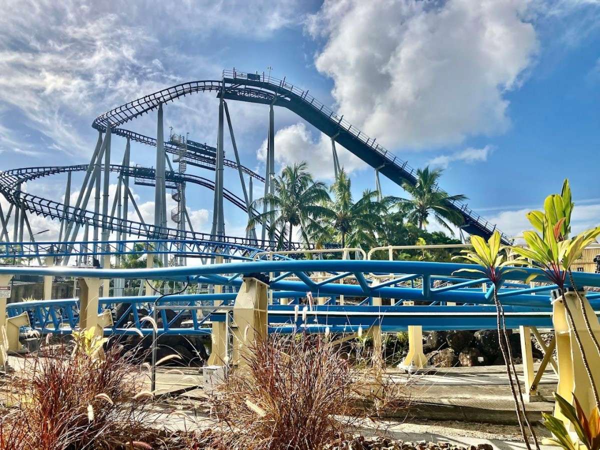 Best tips for visiting Sea World!