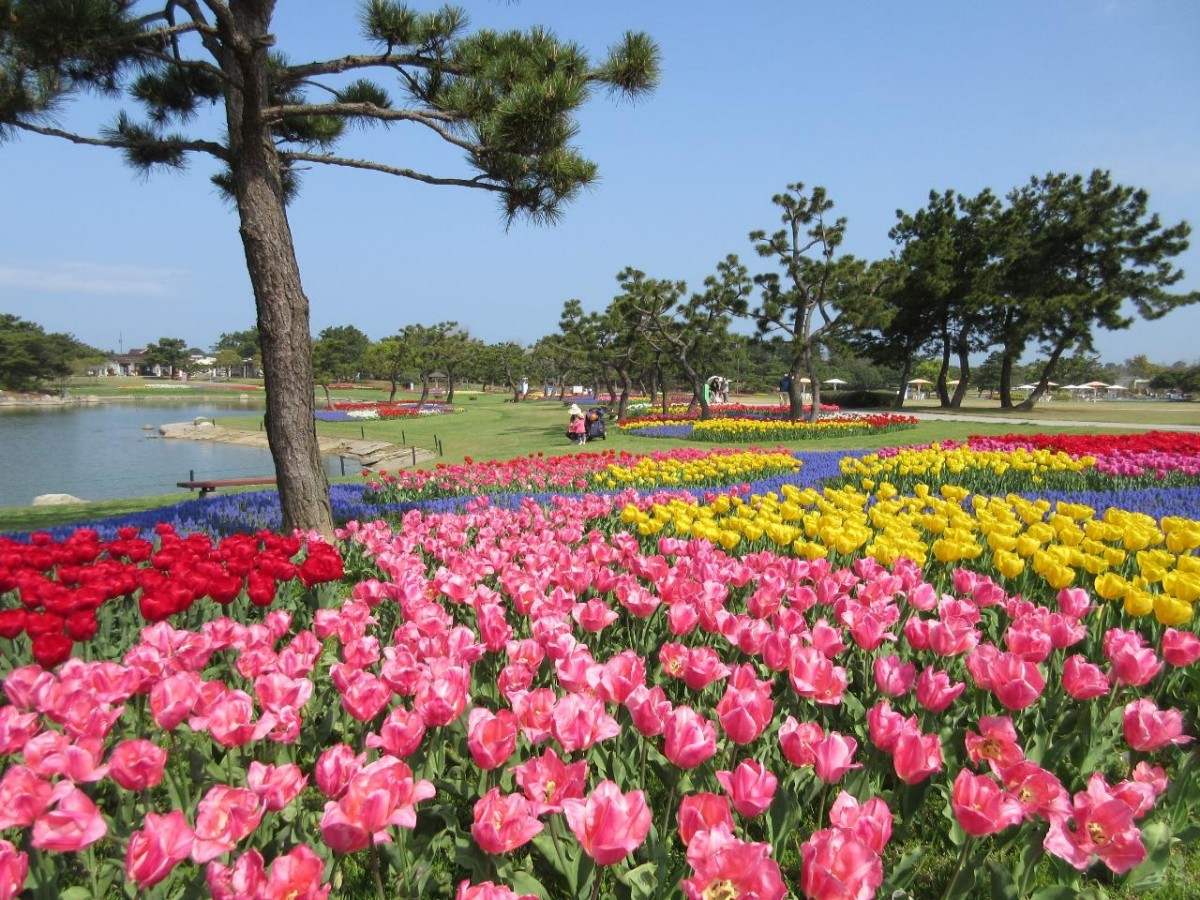 [More Relaxing Than Disneyland] 5 Fun Things to Do with Kids on Uminonakamichi
