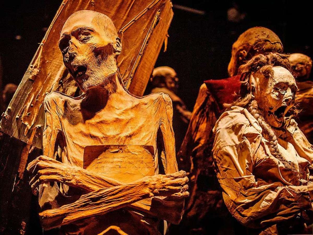 Museum of the Mummies of Guanajuato: A must-visit for the brave, challenge your courage and curiosity!