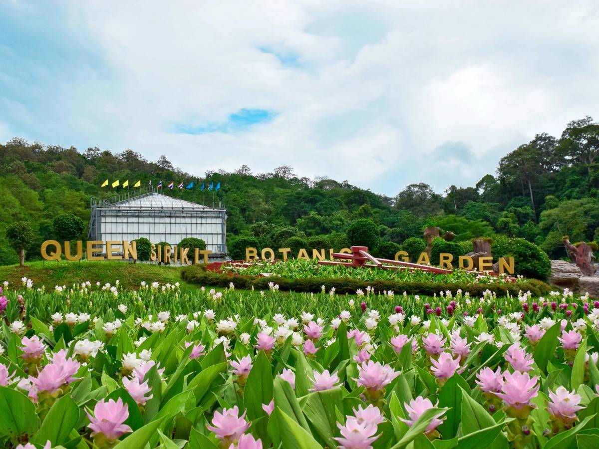 Breathe in Chiang Mai: Feel the power of life in Queen Sirikit Botanic Garden!