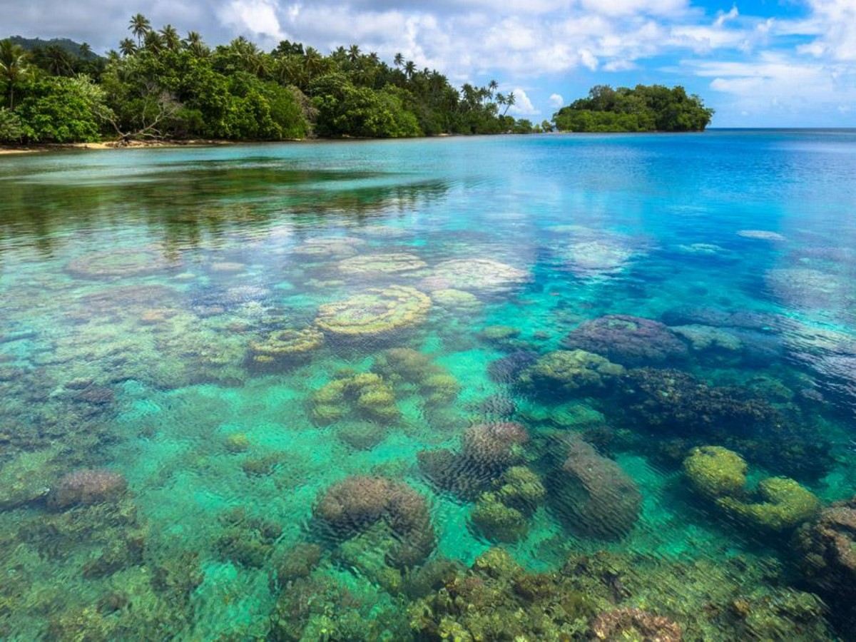 Tawali Dive Resort Guide: Top Dive Sites and Comprehensive Services Explained