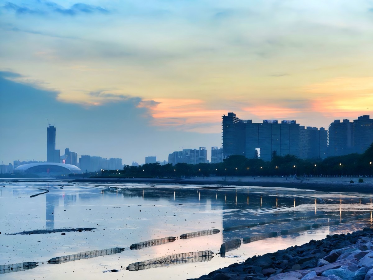 Best time to visit Shenzhen Bay Park and travel tips