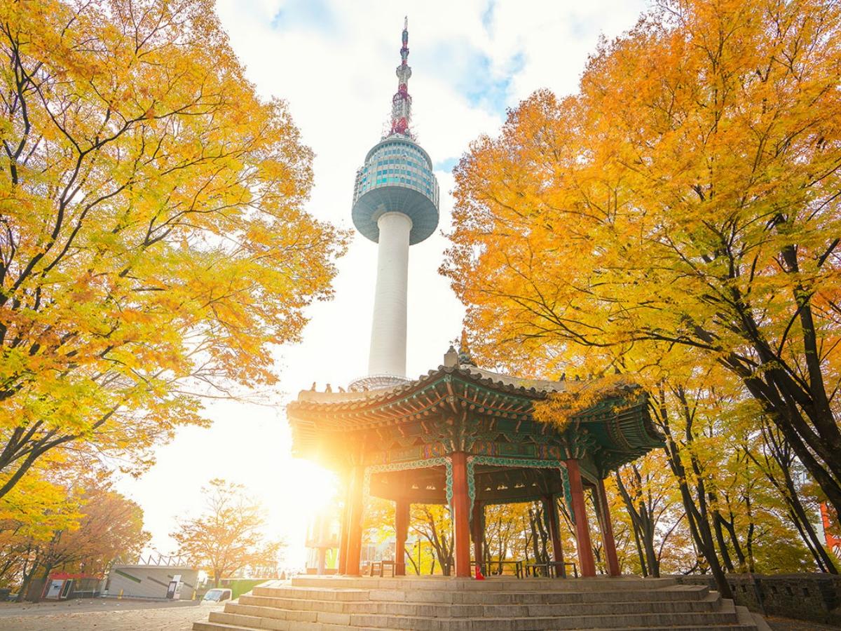 N Seoul Tower: Intertwining Culture and Modern Architecture
