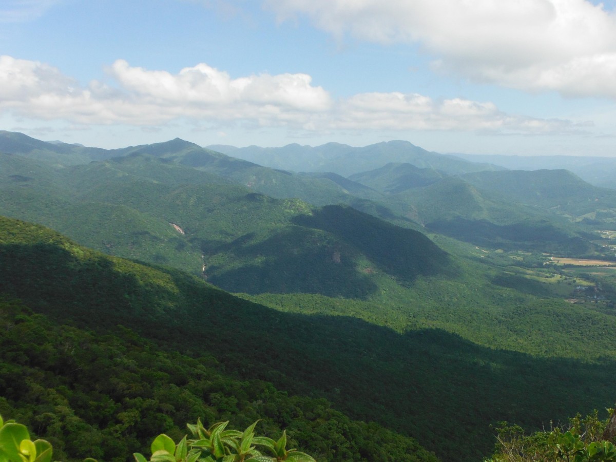 10 "New Species" Legends in the Serra do Tabuleiro Rainforest