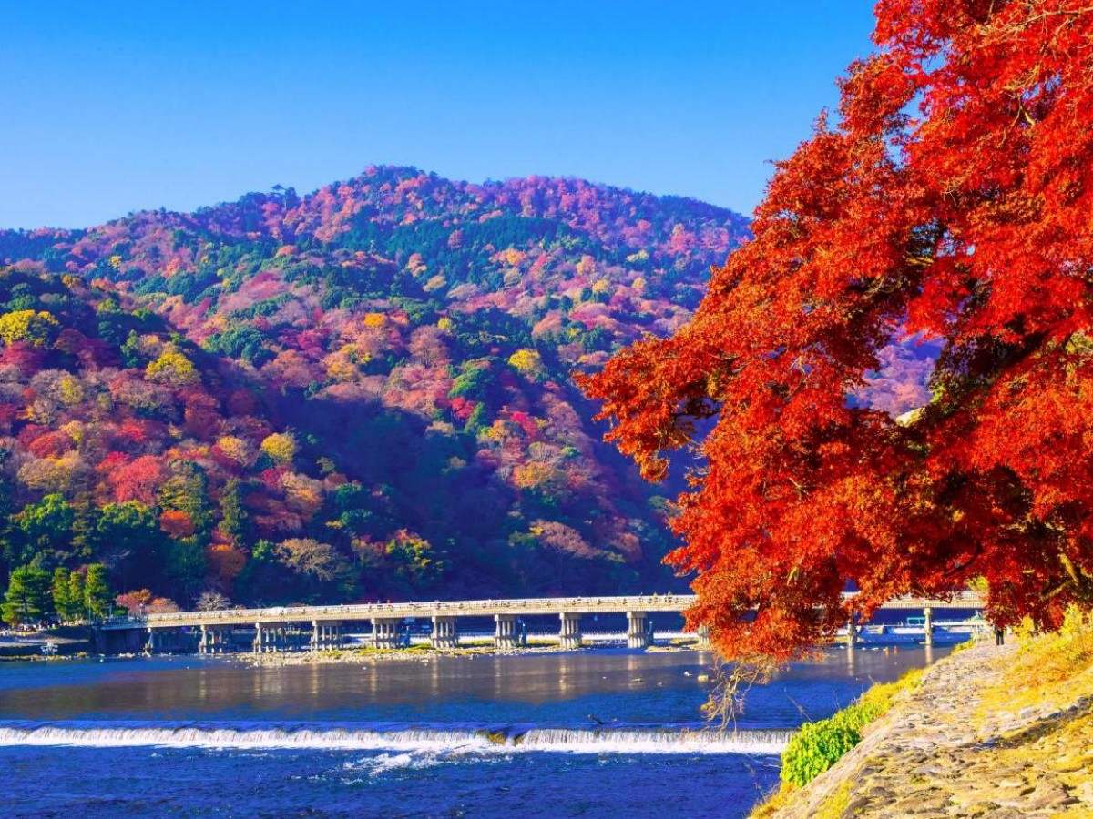 Taking your parents or a couple to Arashiyama? Three routes to meet different travel styles