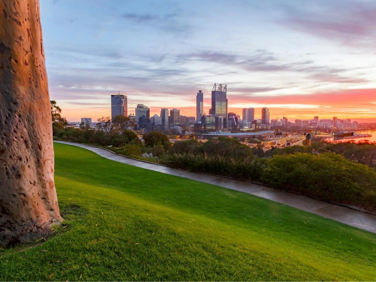 What's the least tiring way to walk in Kings Park?