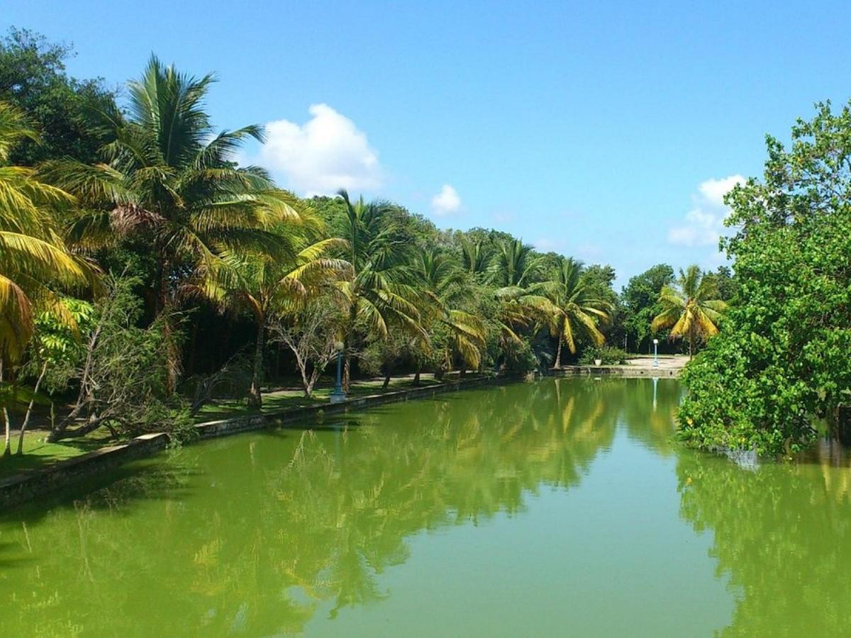 How to Have the Perfect Couple's Getaway at Josone Park
