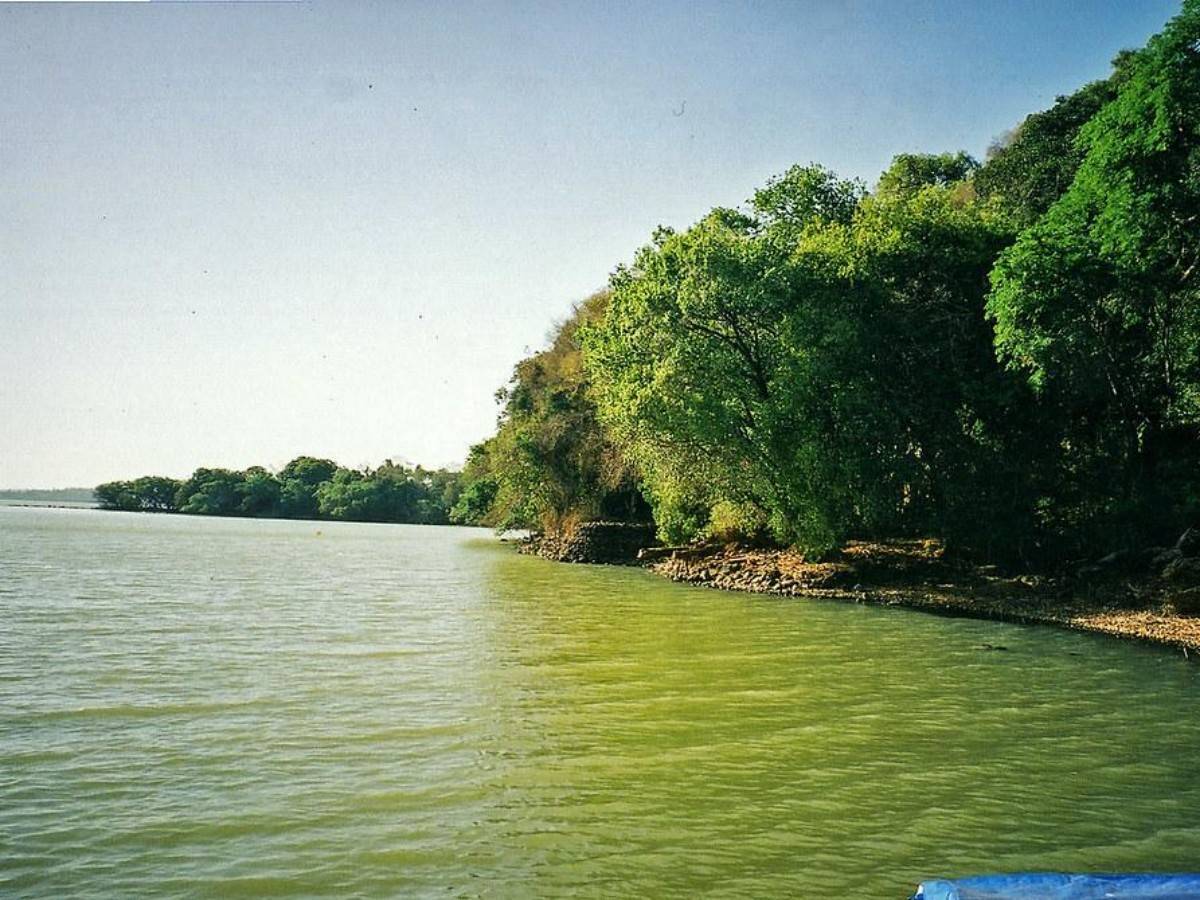 Get away from the hustle and bustle and immerse yourself in the tranquility and beauty of Lake Tana