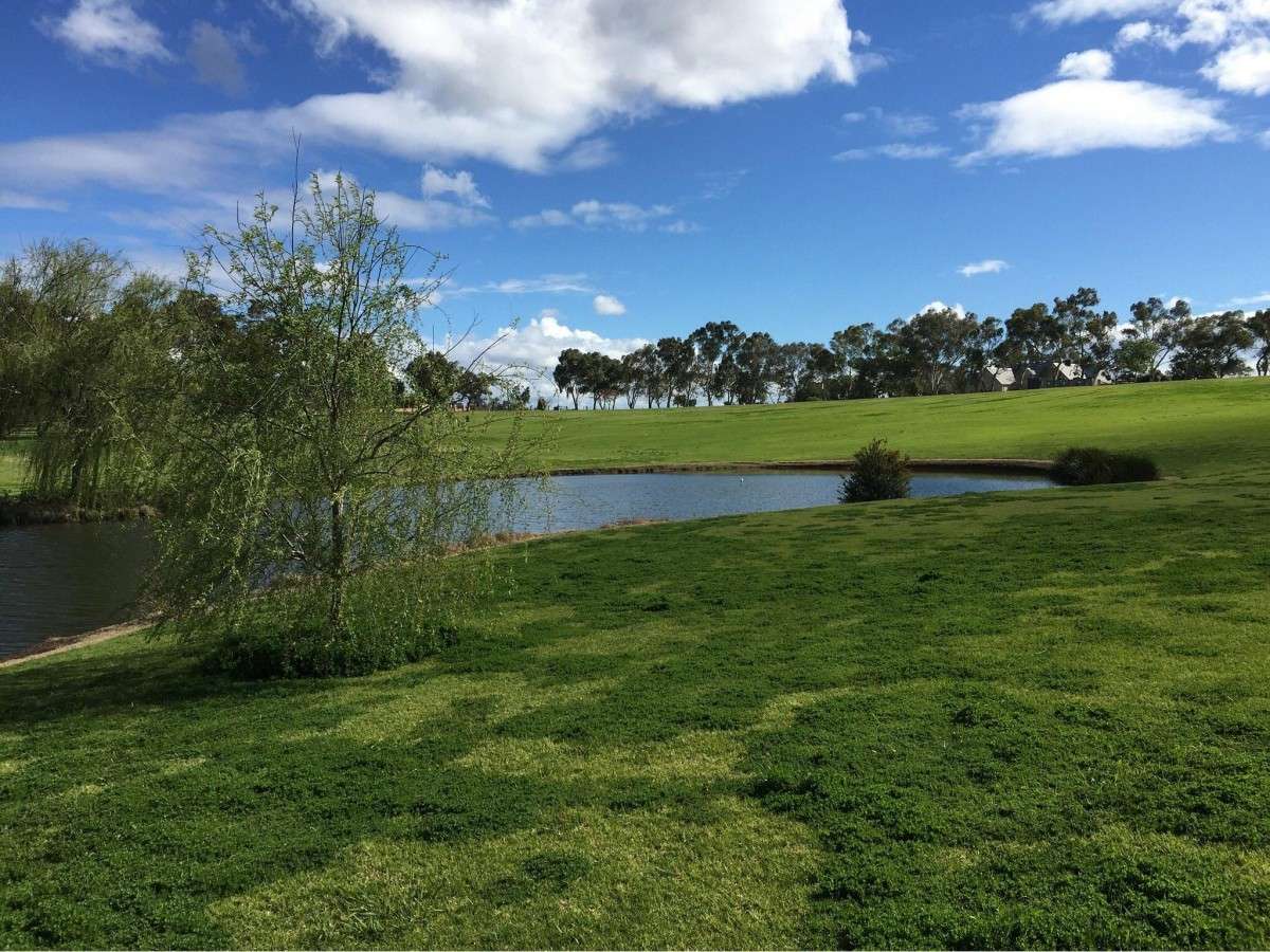 How can you visit the Swan Valley without making a mistake? This itinerary will show you!