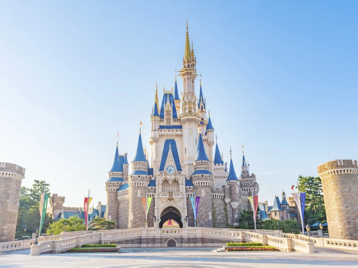 Before you go to Tokyo Disneyland, you need....
