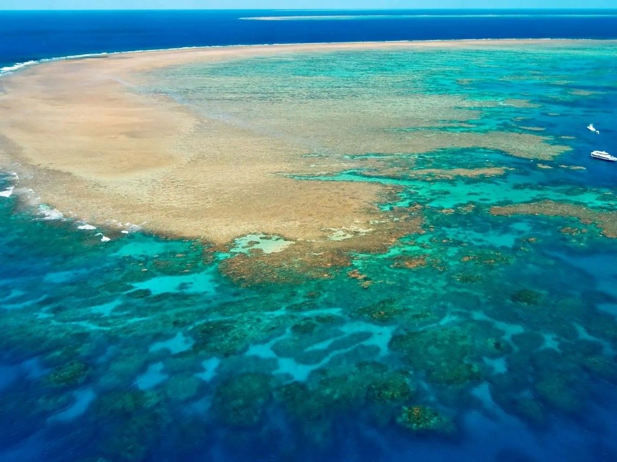 What should you pay attention to when snorkeling in the Great Barrier Reef?