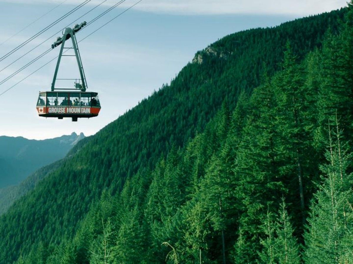 Explore the wonderland in the clouds: the Grouse Mountain Aerial Cable Car Tour is not to be missed!